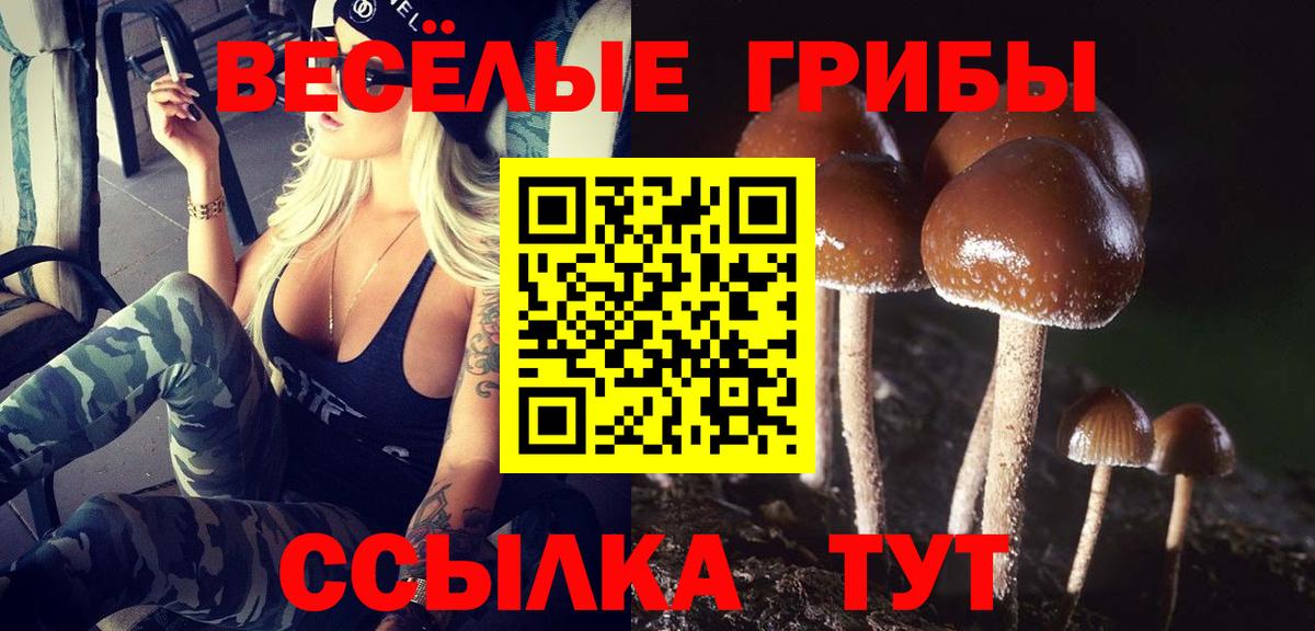 Галлюциногенные грибы MAGIC MUSHROOMS  Вход с VPN  Алексин 